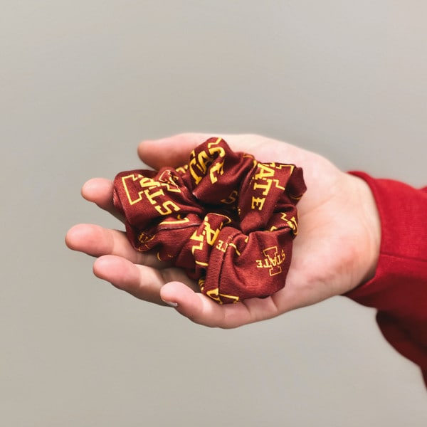 ZooZatz I-State Cardinal Scrunchie